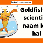 goldfish ka scientific naam kya hai hindi mein
