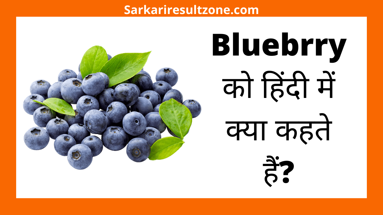 Bluebrry को हिंदी में क्या कहते हैं?
