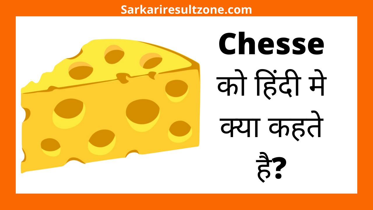 Chesse को हिंदी मे क्या कहते है?