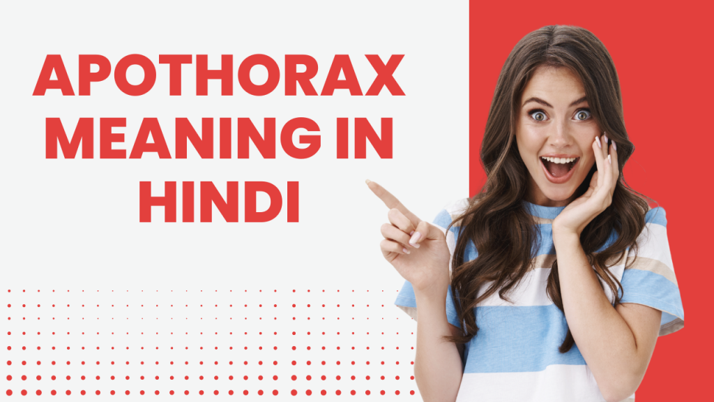 apothorax-apothorax-meaning-in-hindi