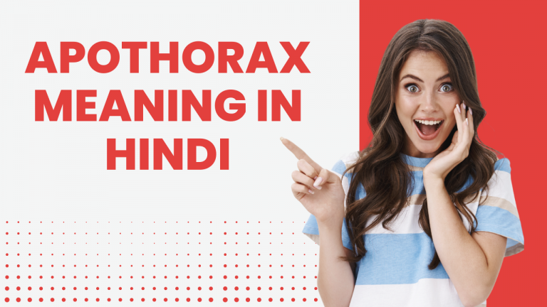 apothorax meaning in hindi