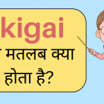 Ikigai Meaning in Hindi
