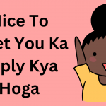Nice To Meet You Ka Reply Kya Hoga