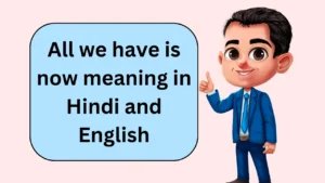 All we have is now meaning in Hindi and English